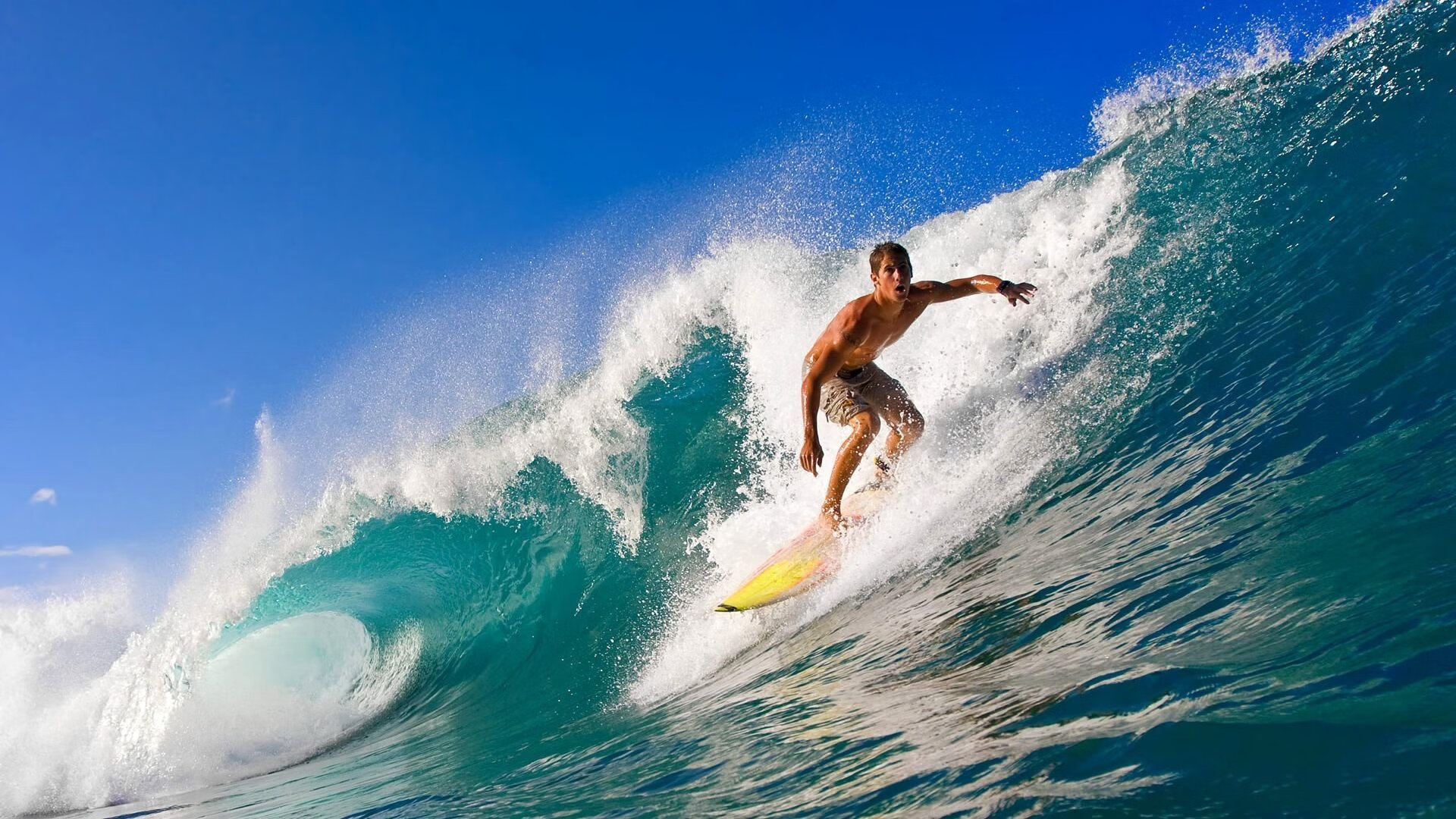 门迪神扑定乾坤，拜仁连续得分压制塞内加尔新星崛起